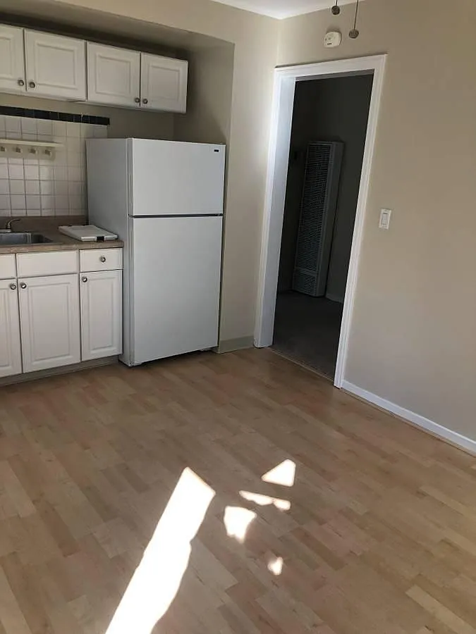 1 bed, 350 sqft, $2,595 — Photo 4
