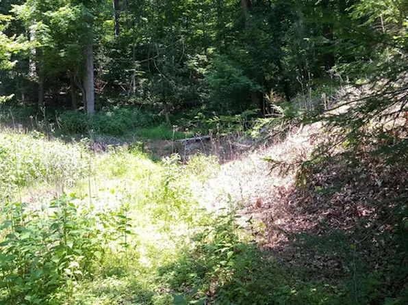 0 Thompson Memorial Dr, Salem, VA 24153