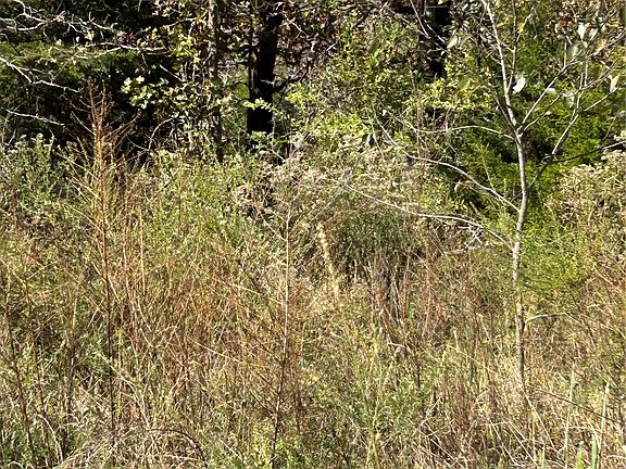 5th image of 4673rd Rd