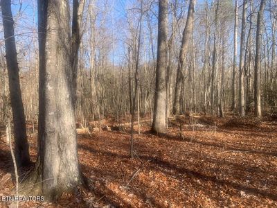 14 Honeysuckle Rd Lot 14, Pikeville, TN, 37367