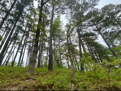 Canyon Village Rd #6, Rogers, AR, 72756
