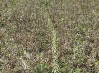 800 Stone Rd, Irvine, KY 40336