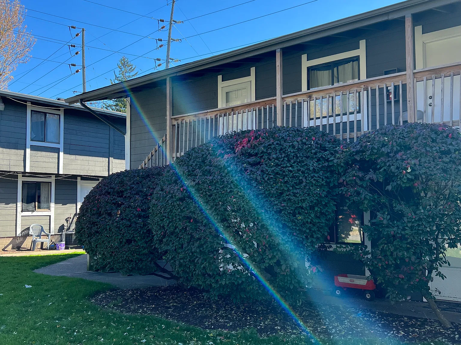 1 bed, 650 sqft, $800 — Photo 1