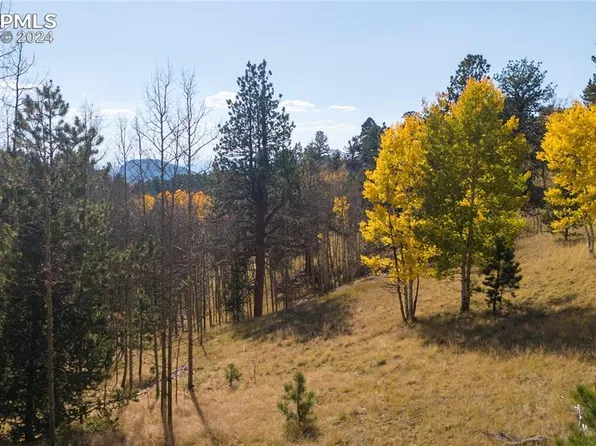 1734 May Queen Dr, Cripple Creek, CO 80813