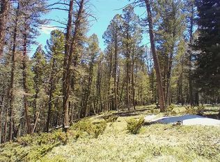 812 Crest Dr, Cimarron, CO 81220