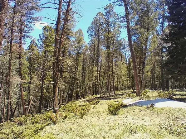 812 Crest Drive, Cimarron, CO 81220