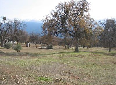 Grounds