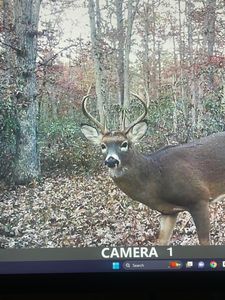 2851 Front St, Hammonton, NJ, 08037