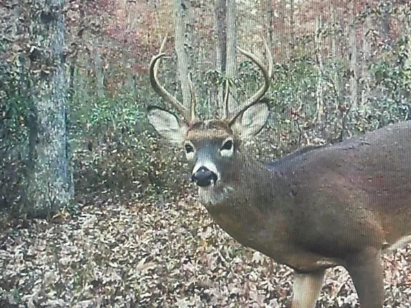 2851 Front St, Hammonton, NJ 08037