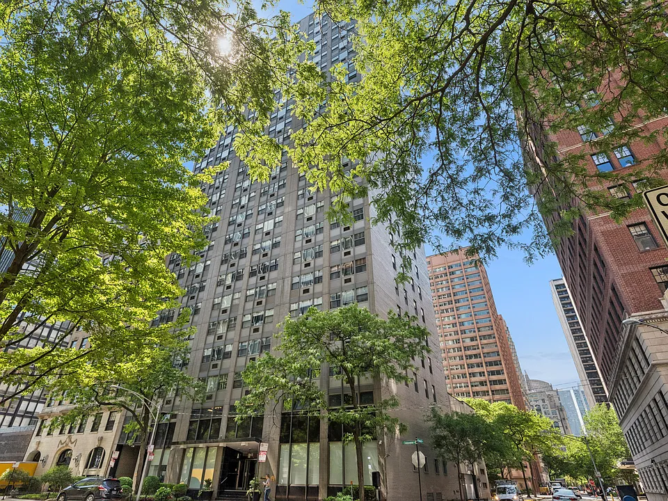 253 E Delaware Pl #7H