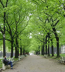 Rented by City Vista Inc