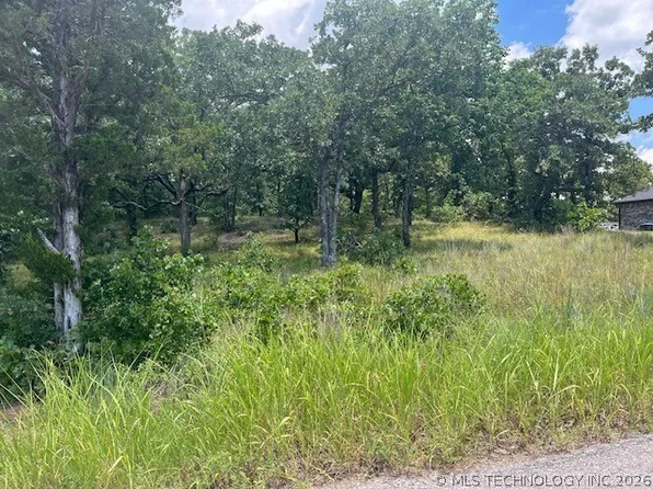 Brandi Ln, Tishomingo, OK 73460