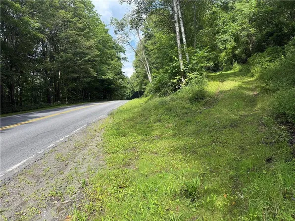 0 County Highway 48, Oneonta, NY 13820