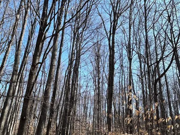 LOT 14 Klein Strasse, Bellaire, MI 49615