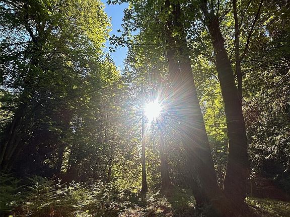 5th image of 501 N Olympic Trails