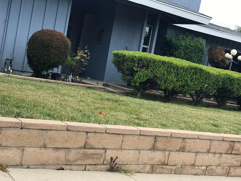 21313 Fountain Springs Rd — Photo 37