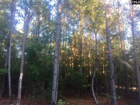 1128 Hezekiah Rd, Eastover, SC 29044