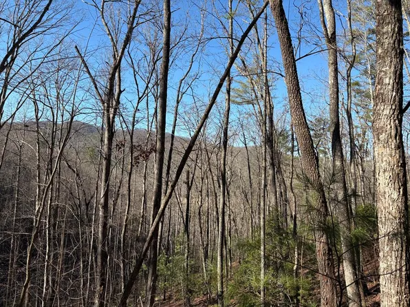 61 Laurel Woods, Suches, GA 30572