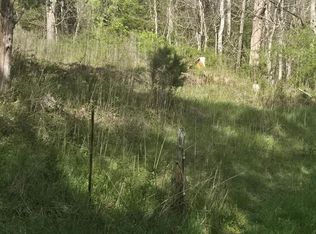 Huddle Rd, Ivanhoe, VA 24350
