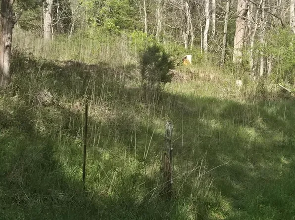 Huddle Rd, Ivanhoe, VA 24350