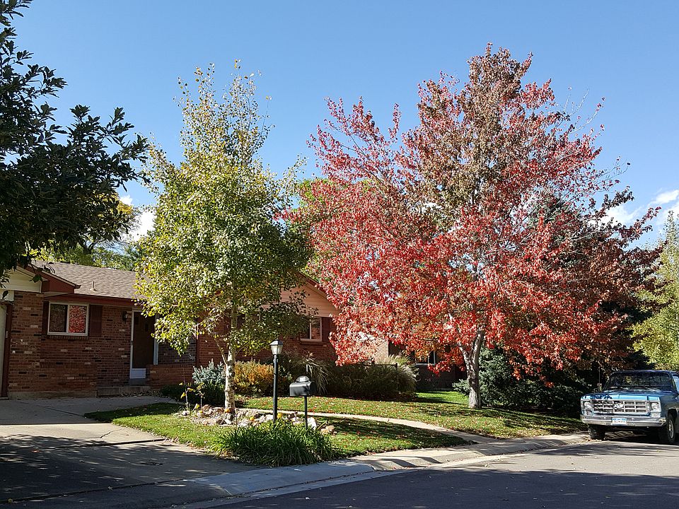 front yard