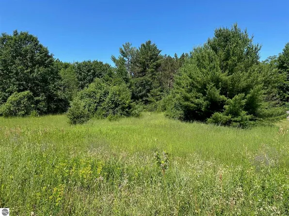 0 Lake Dr NE, Kalkaska, MI 49646