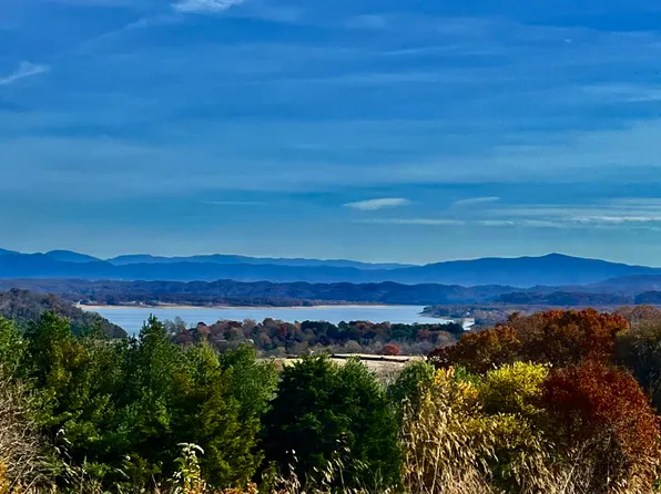 11 Homestead Dr, White Pine, TN 37890