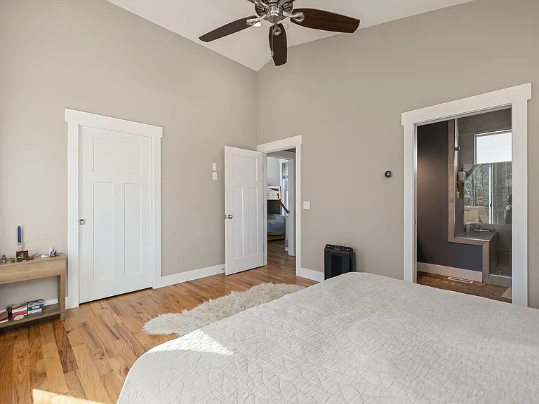 Primary bedroom with walk-in closet