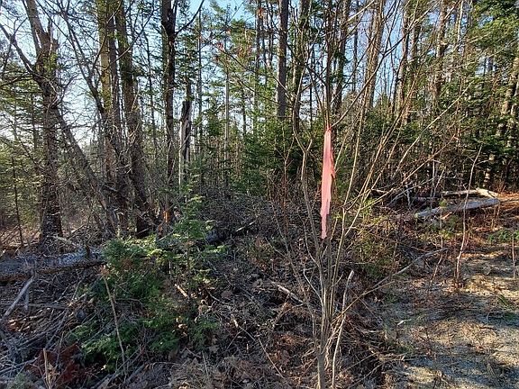 5th image of 338 Goshen Road
