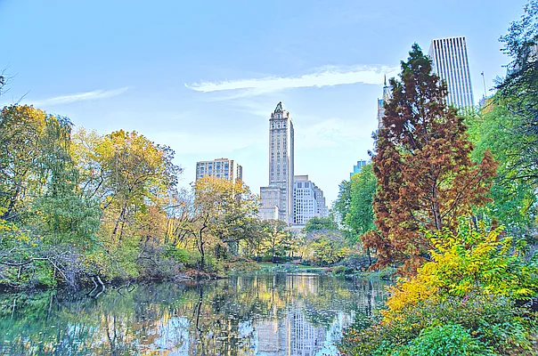 Rented by Rachel Realty | media 9