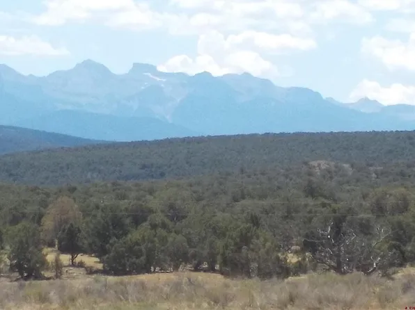 124 Cimarron Mesa Road, Montrose, CO 81403