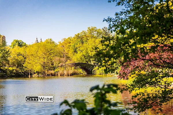 Rented by City Wide Apartments | media 10