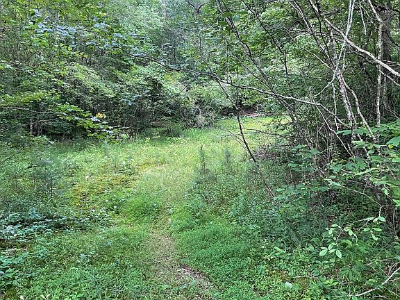 5th image of LOT 14 Acorn Cir