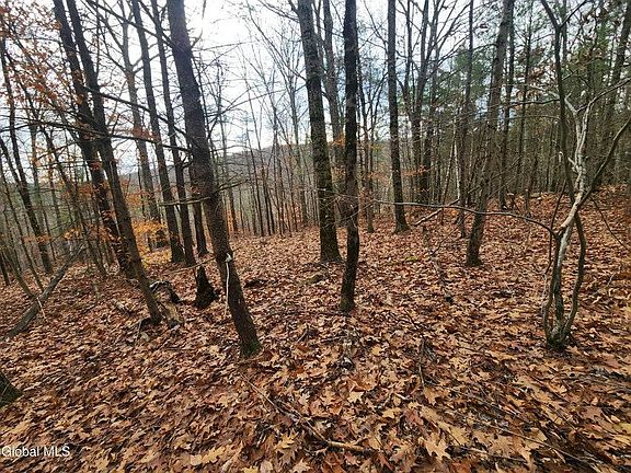 5th image of L-12 Rebel Ridge Rd