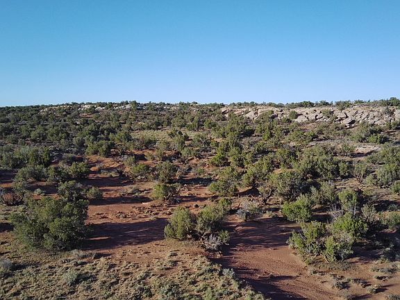 5th image of 3791 Anasazi Rd