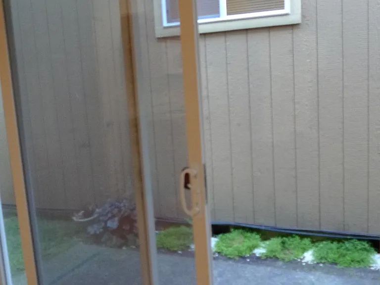 patio door to fenced side yard