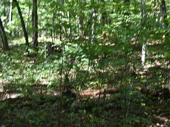 5th image of 0 Lower Firetower Rd