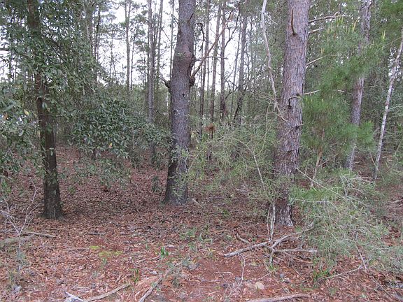 4th image of LOT 6 Jonquil Ave