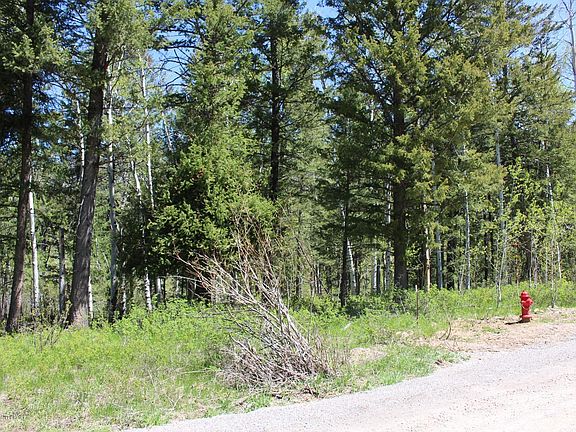 3rd image of 12 N Forest Dr