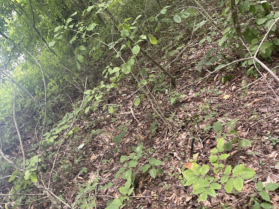 0 State Highway 52 Bypass W 6 LOT W7, Lafayette, TN 37083 MLS