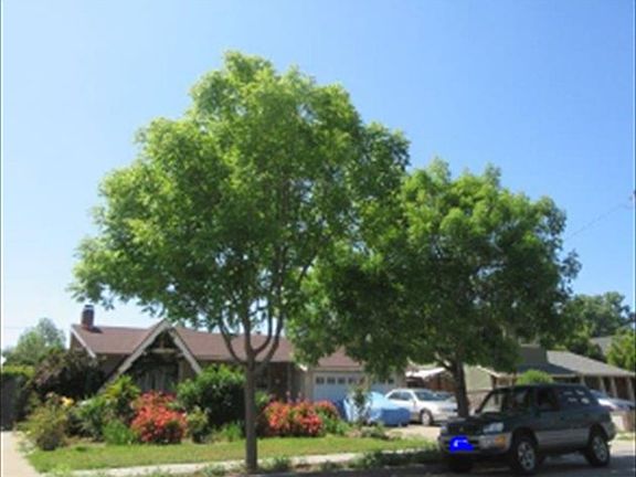 2nd image of 1953 Trenton Dr