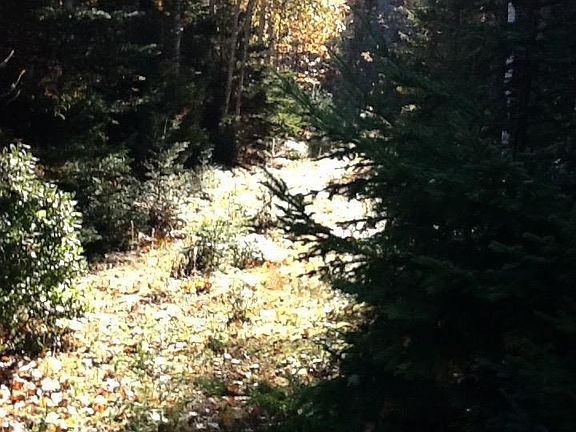 2nd image of LOT Christie Ln