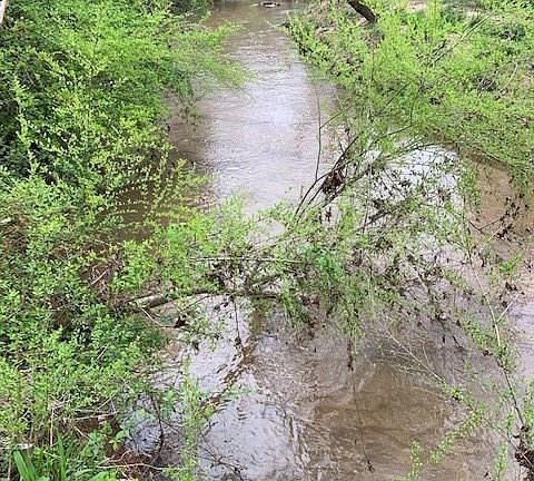 4th image of 0 Old Dahlonega Hwy Lot 0