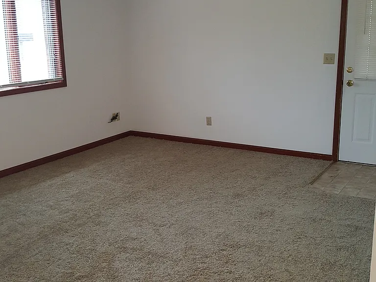 541 Circle Pine Dr — Photo 4