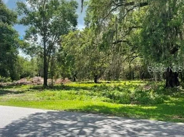 721 Cr, Webster, FL 33597