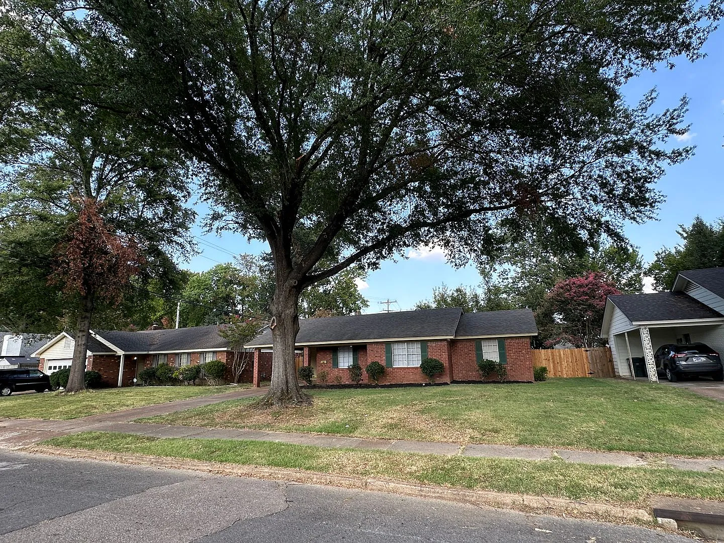 Charming Freshly Painted 3 BR / 1.5 BA Home in East Memphis Near Sea Isle Park — Photo 4