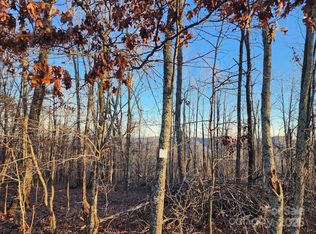 69 Adirondack Ln, Bostic, NC 28018