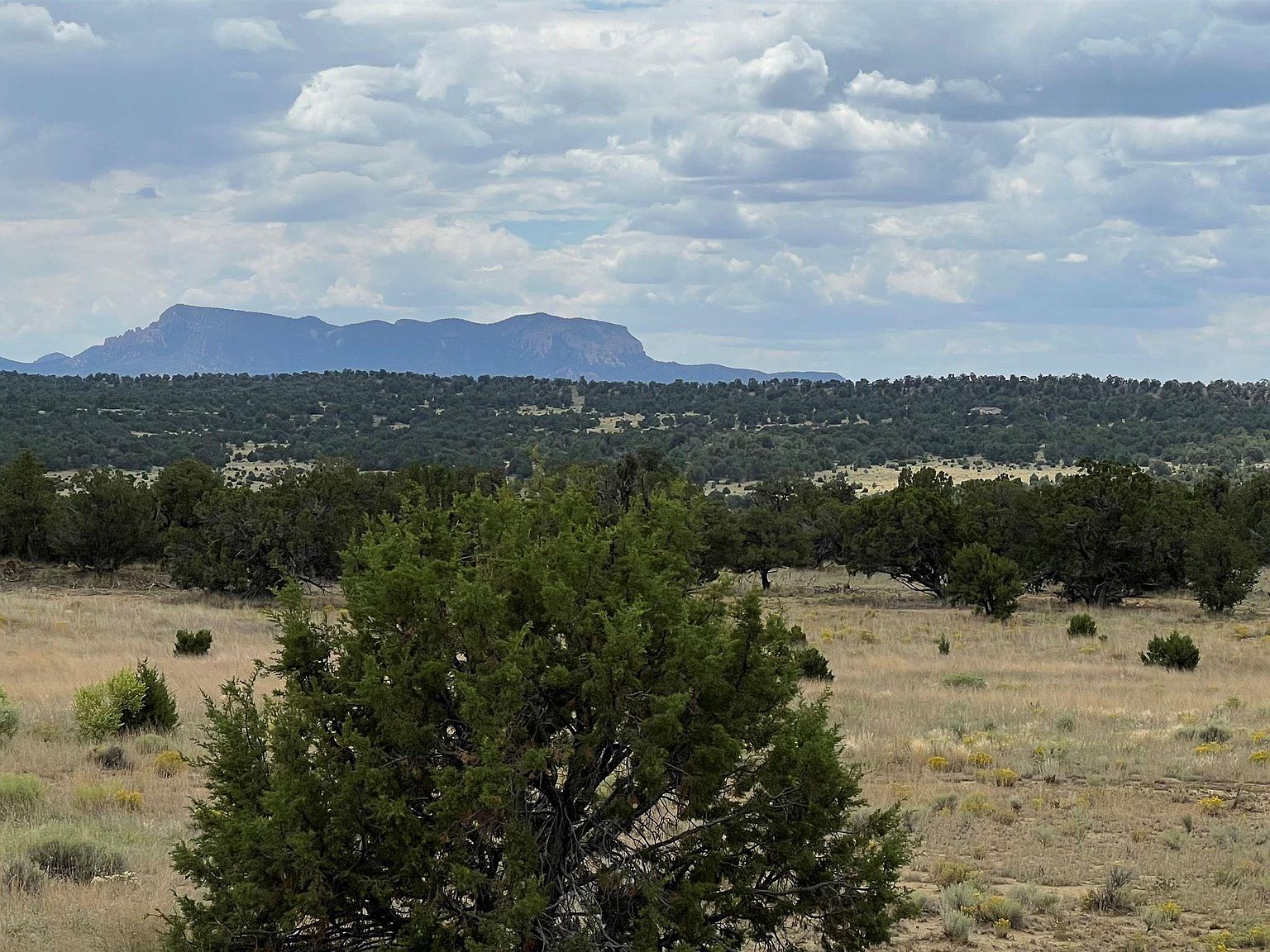 Sky View Street Ponderosa View Loop, Pie Town, NM 87827 Zillow