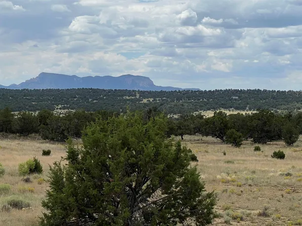 Sky View Street Ponderosa View Loop, Pie Town, NM 87827