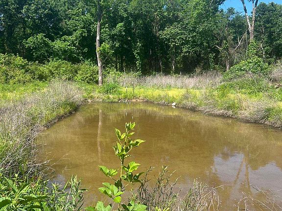 4th image of 16 Caney Meadows Dr